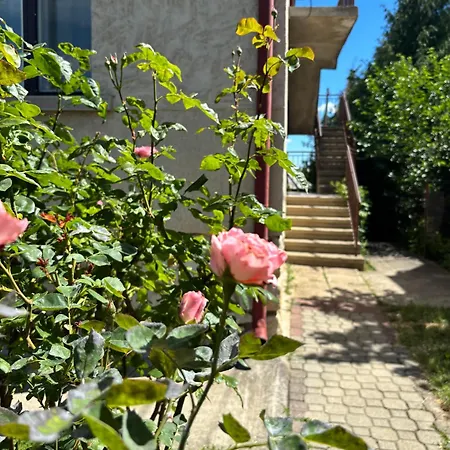 Julia Apartmanhaz * Balatonfured